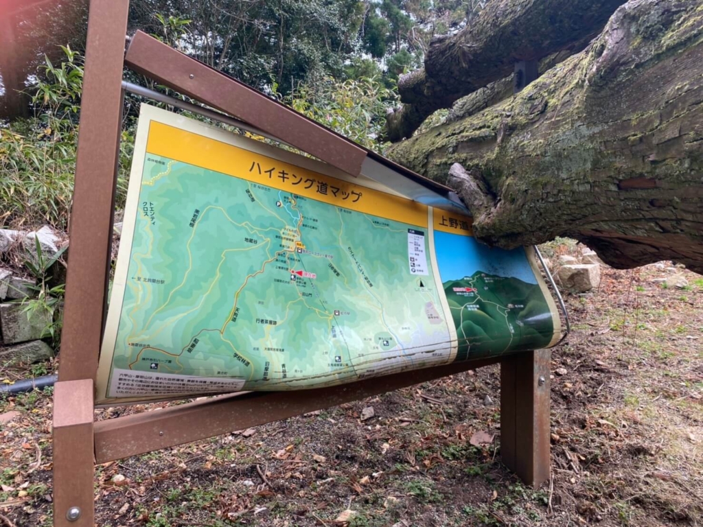 大きい木に潰された看板