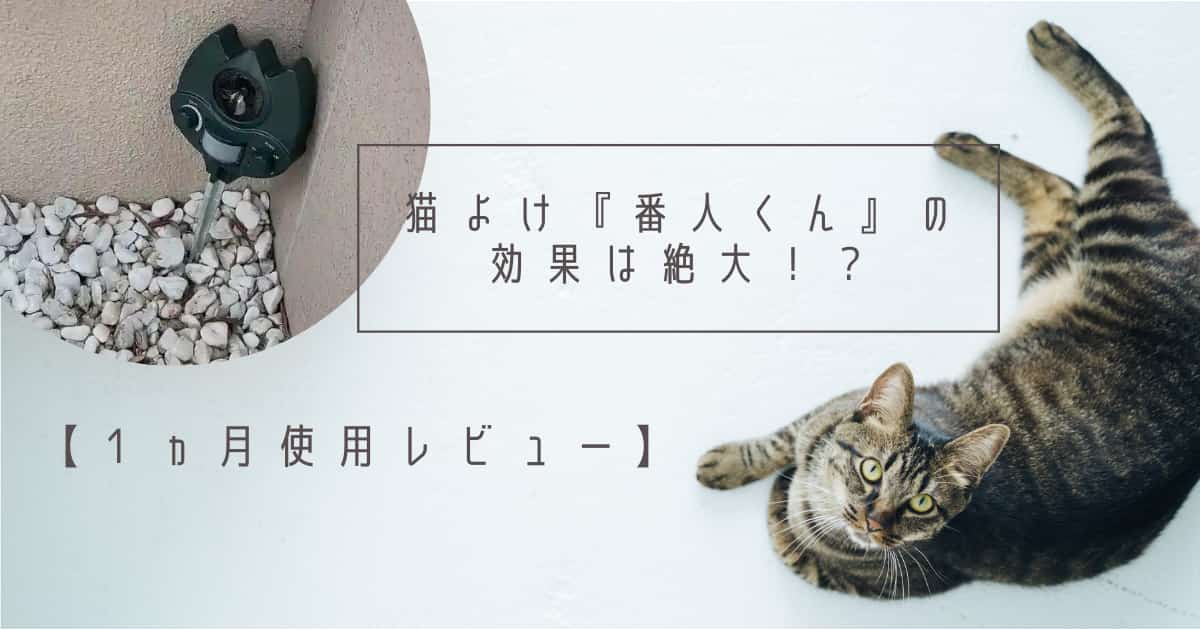 専門店では 番人くん 猫よけ 3broadwaybistro.com