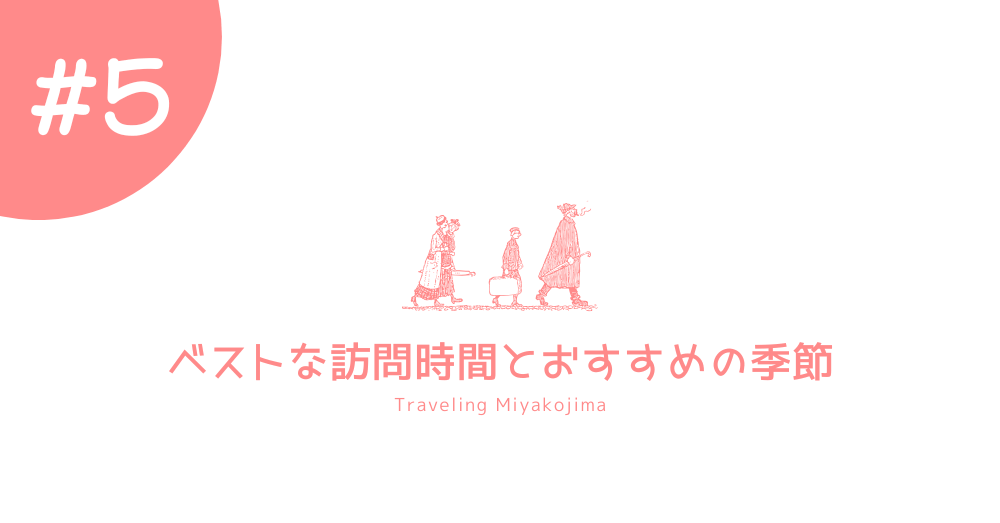 宮古島の秘境ヌドクビアブ|洞窟探検とアクセス方法完全ガイド
